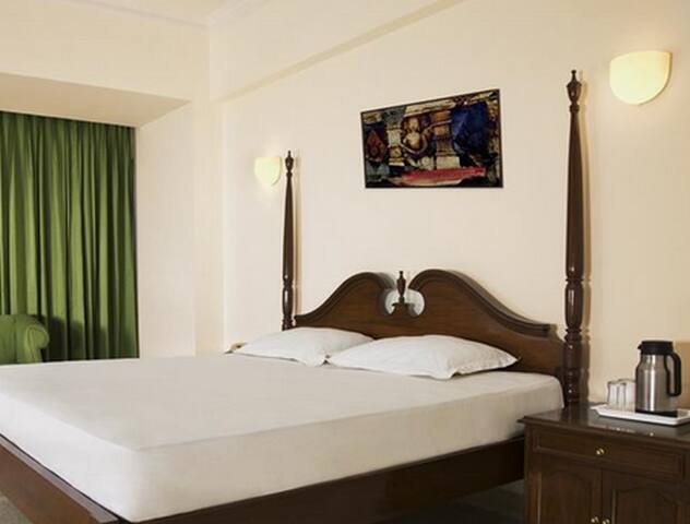 Hotel Mascot Inn, Unnao 1